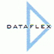 Dataflex Logo